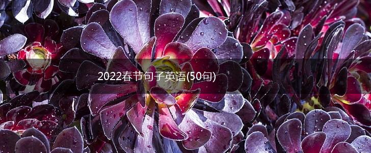 2022春节句子英语(50句),第1张