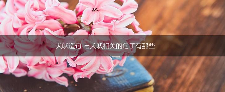 犬吠造句 与犬吠相关的句子有那些,第1张