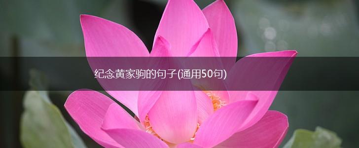 纪念黄家驹的句子(通用50句),第1张