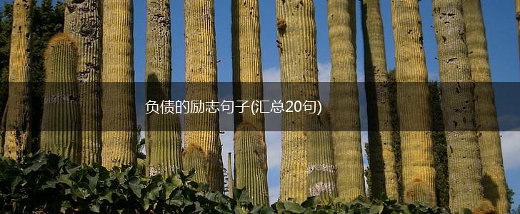 负债的励志句子(汇总20句),第1张