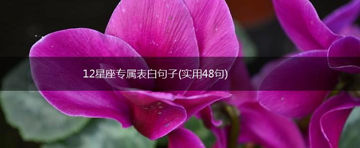 12星座专属表白句子(实用48句),第1张