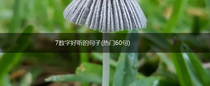 7数字好听的句子(热门60句),第1张