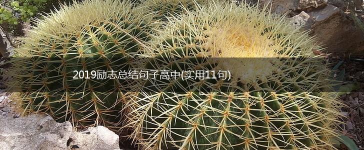 2019励志总结句子高中(实用11句),第1张