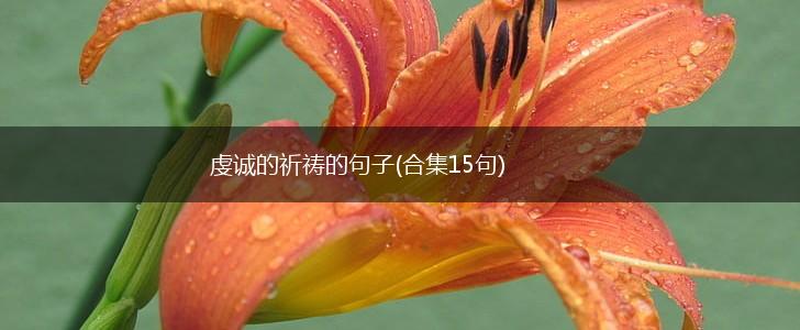 虔诚的祈祷的句子(合集15句),第1张