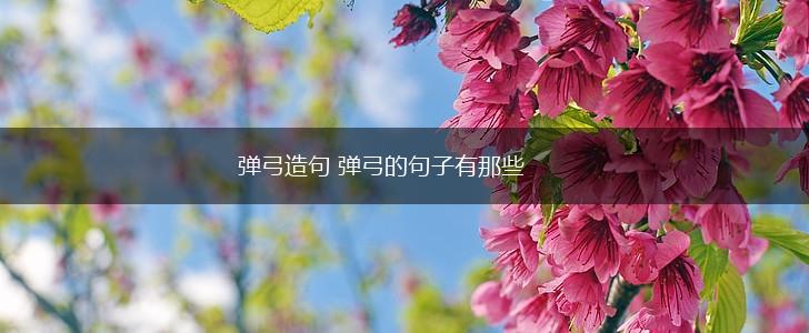 弹弓造句 弹弓的句子有那些,第1张