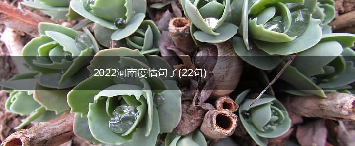2022河南疫情句子(22句),第1张