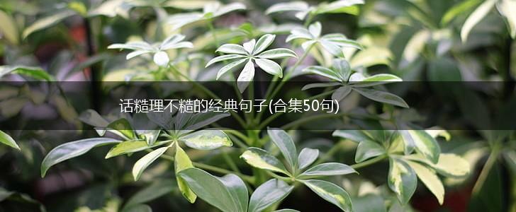 话糙理不糙的经典句子(合集50句),第1张