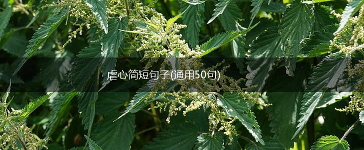 虐心简短句子(通用50句),第1张
