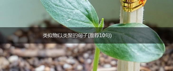类似物以类聚的句子(推荐10句),第1张