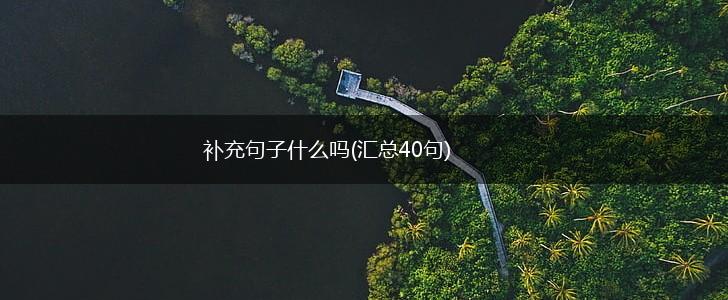 补充句子什么吗(汇总40句),第1张