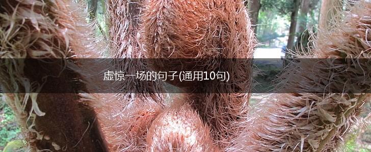 虚惊一场的句子(通用10句),第1张
