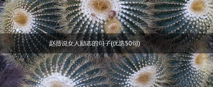 赵薇说女人励志的句子(优选50句),第1张