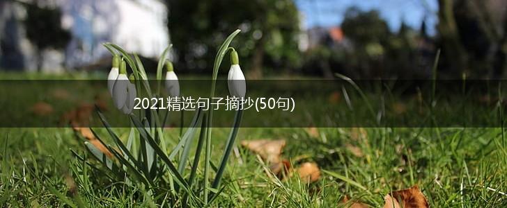 2021精选句子摘抄(50句),第1张