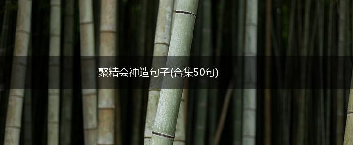 聚精会神造句子(合集50句),第1张