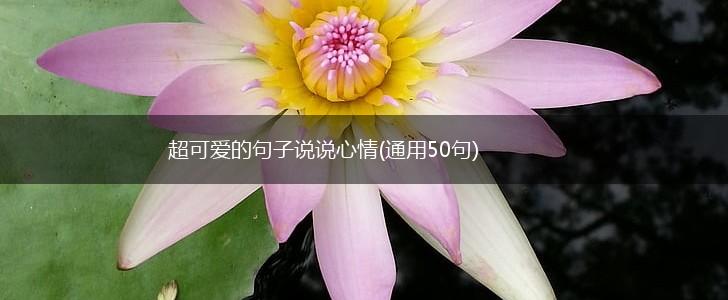 超可爱的句子说说心情(通用50句),第1张