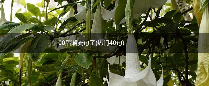 00后潮流句子(热门40句),第1张