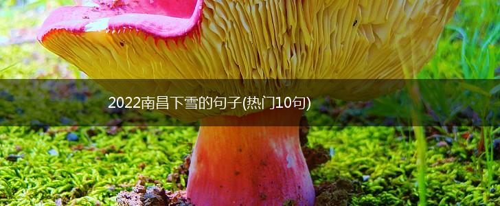 2022南昌下雪的句子(热门10句),第1张
