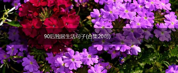 90后独居生活句子(合集20句),第1张