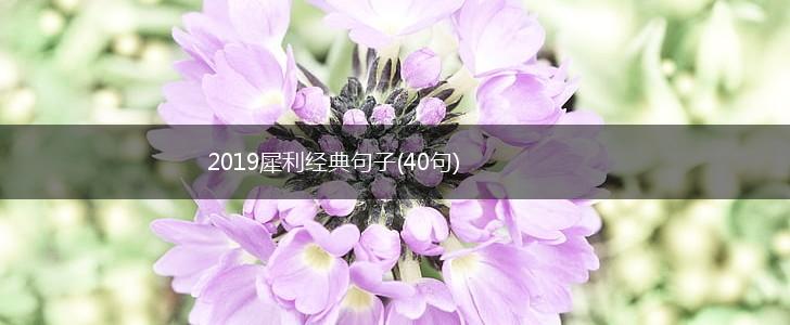 2019犀利经典句子(40句),第1张