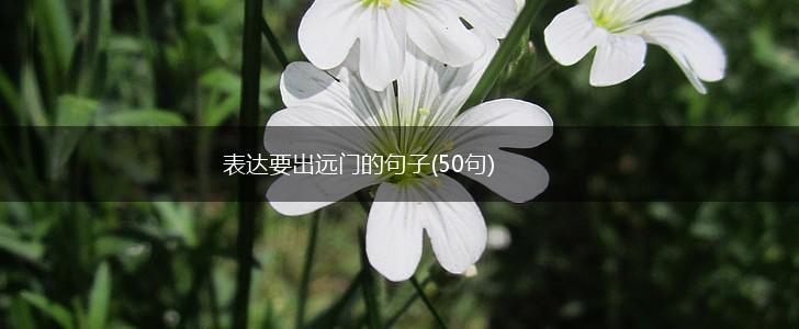 表达要出远门的句子(50句),第1张