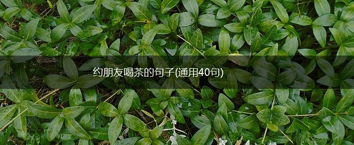 约朋友喝茶的句子(通用40句),第1张