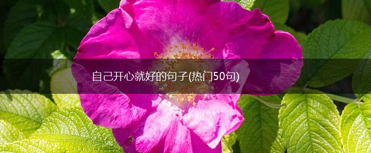 自己开心就好的句子(热门50句),第1张