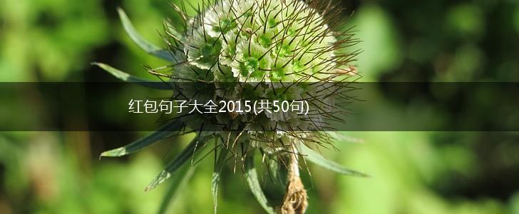 红包句子大全2015(共50句),第1张