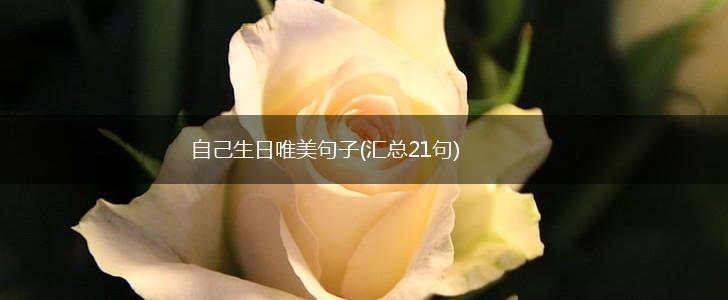 自己生日唯美句子(汇总21句),第1张