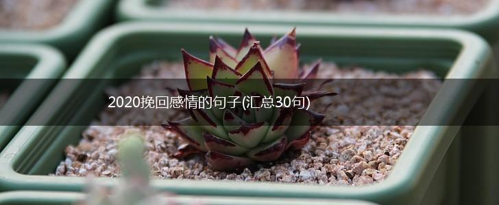 2020挽回感情的句子(汇总30句),第1张