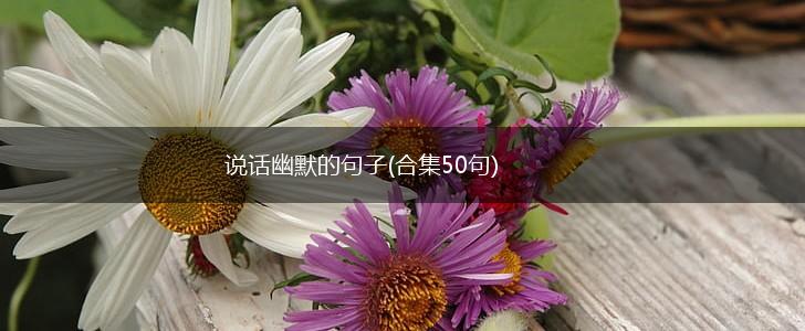 说话幽默的句子(合集50句),第1张