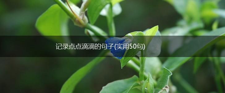 记录点点滴滴的句子(实用50句),第1张
