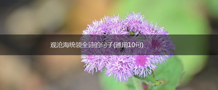 观沧海统领全诗的句子(通用10句),第1张