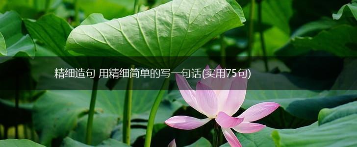精细造句 用精细简单的写一句话(实用75句),第1张