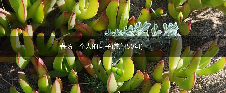 表扬一个人的句子(热门50句),第1张