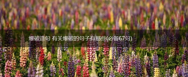 爆破造句 有关爆破的句子有那些(必备67句),第1张