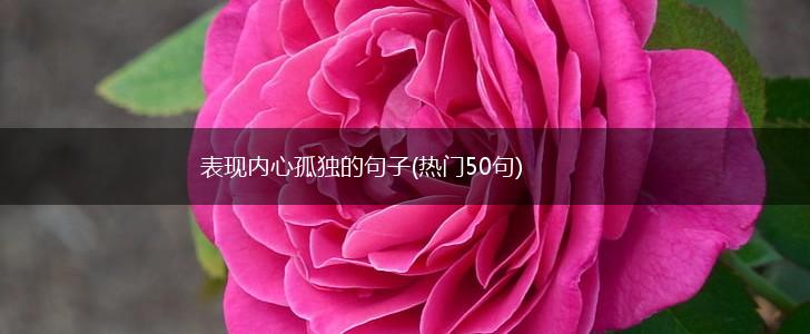 表现内心孤独的句子(热门50句),第1张