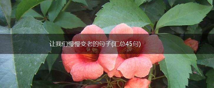让我们慢慢变老的句子(汇总45句),第1张