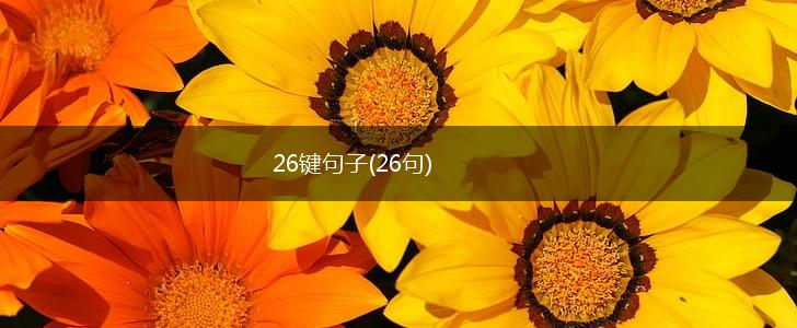 26键句子(26句),第1张