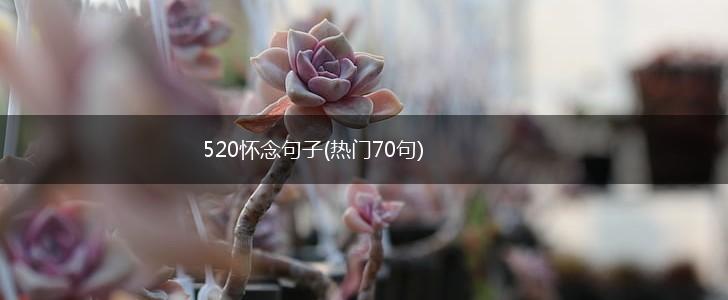 520怀念句子(热门70句),第1张