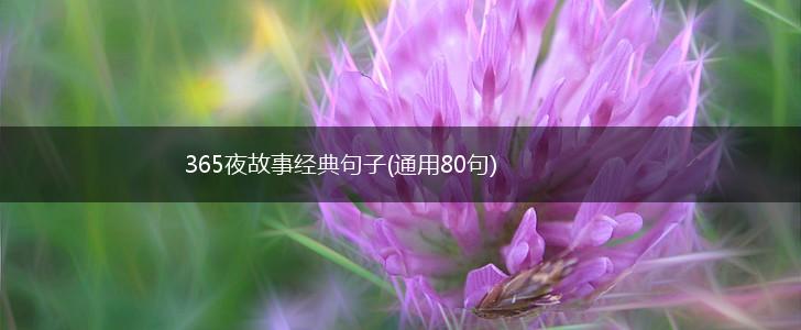 365夜故事经典句子(通用80句),第1张