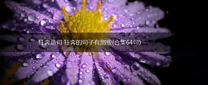 狂奔造句 狂奔的句子有那些(合集64句),第1张
