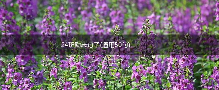 24班励志句子(通用50句),第1张