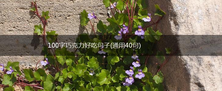 100字巧克力好吃句子(通用40句),第1张