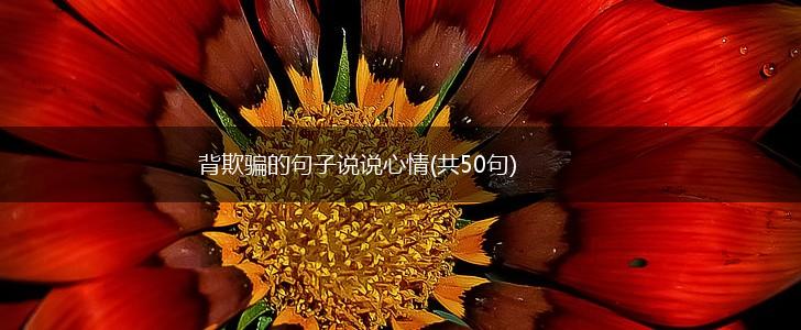 背欺骗的句子说说心情(共50句),第1张
