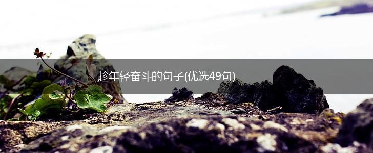 趁年轻奋斗的句子(优选49句),第1张