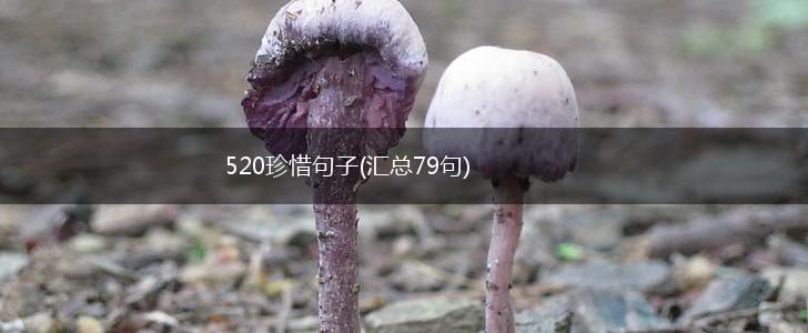 520珍惜句子(汇总79句),第1张