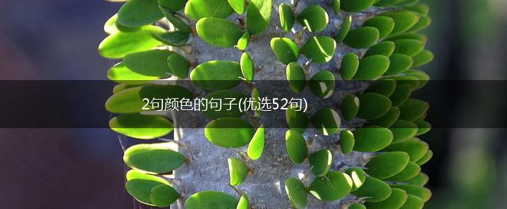 2句颜色的句子(优选52句),第1张