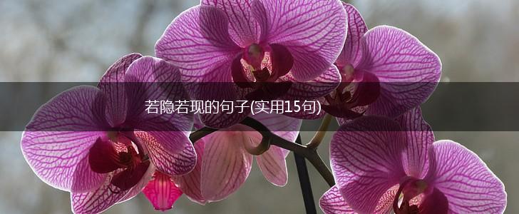 若隐若现的句子(实用15句),第1张
