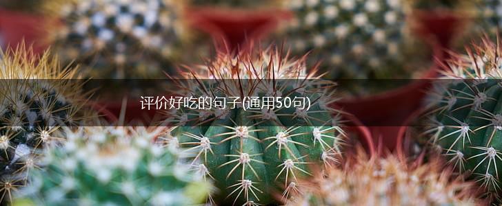 评价好吃的句子(通用50句),第1张