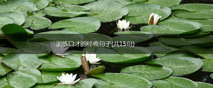 训练口才的经典句子(共15句),第1张